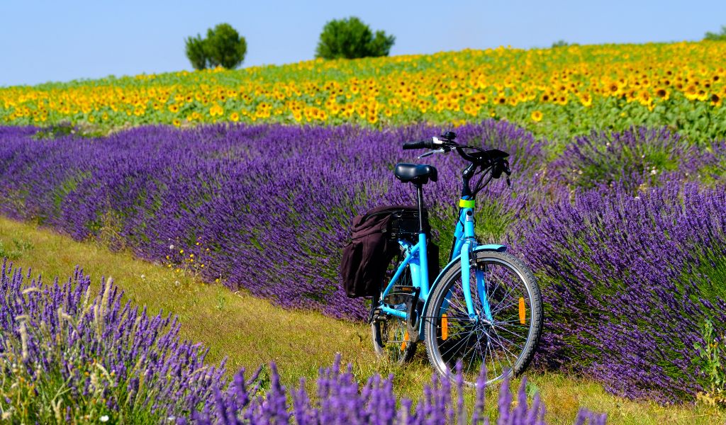 Headwater Active Holidays has launched new cycling holidays