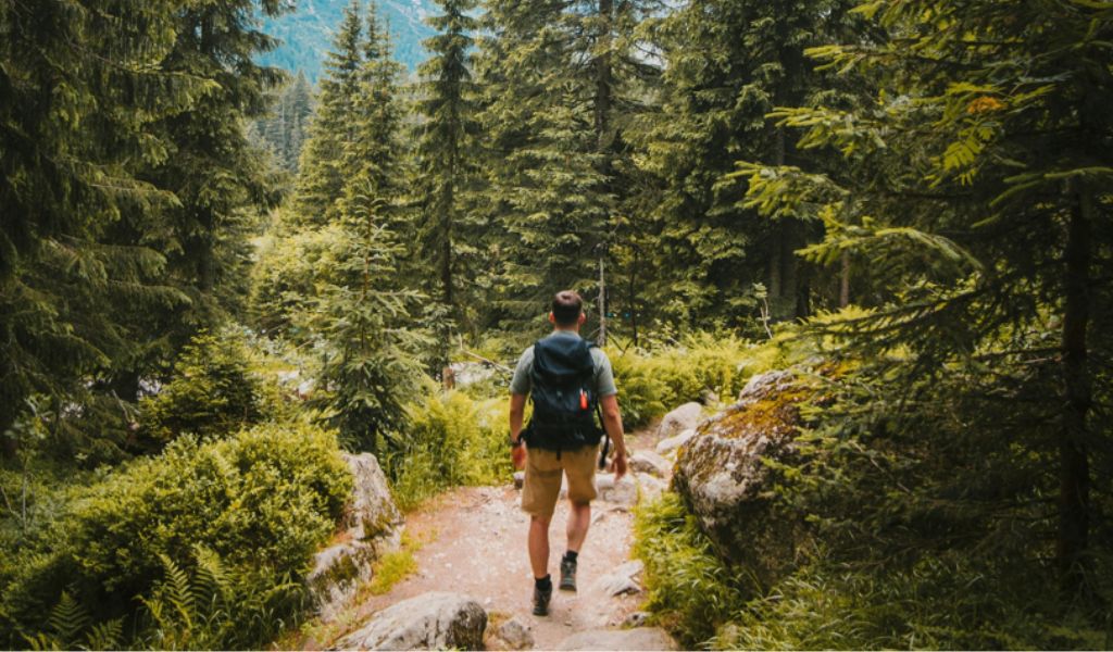 Heidi launches summer mountain holidays