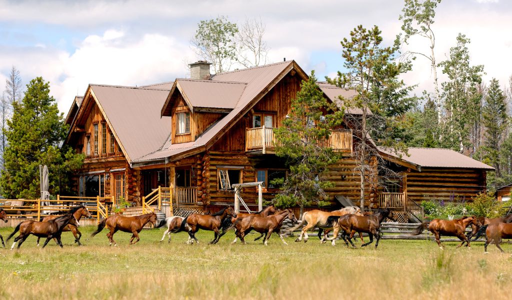The Equine Collective best hotels for horse lovers